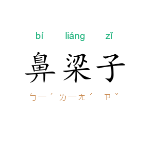 鼻梁子