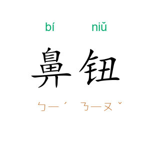 鼻钮