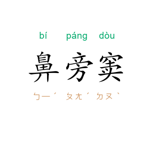 鼻旁窦