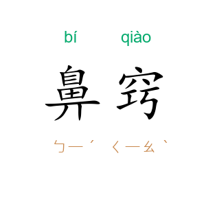 鼻窍