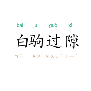 白驹过隙