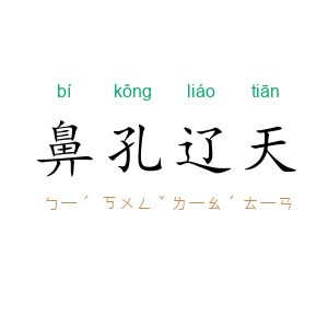 鼻孔辽天