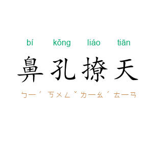 鼻孔撩天