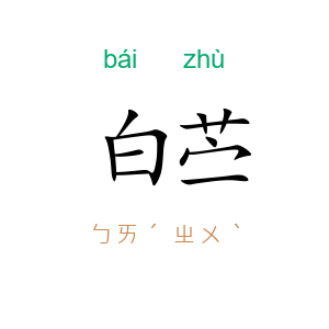 白苎