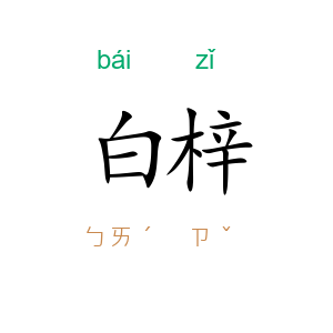 白梓
