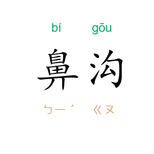 鼻沟