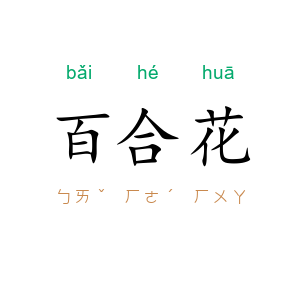 百合花