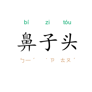 鼻子头