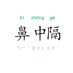 鼻中隔