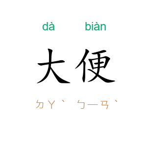 大便