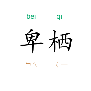 卑栖