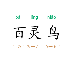 百灵鸟