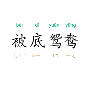被底鸳鸯