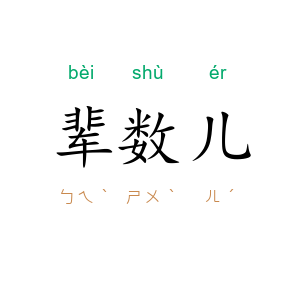辈数儿