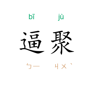 逼聚