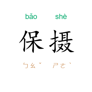保摄