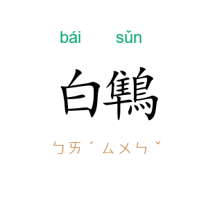 白鶽