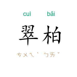 翠柏