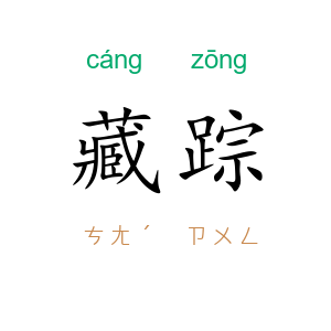 藏踪