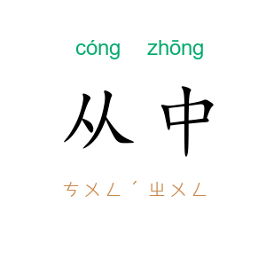从中