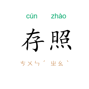 存照