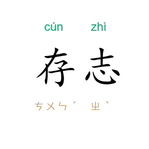 存志