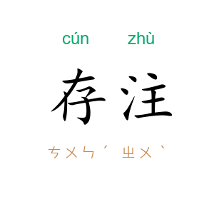存注