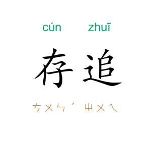 存追