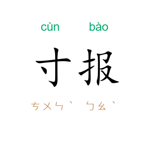 寸报