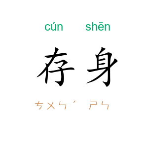 存身