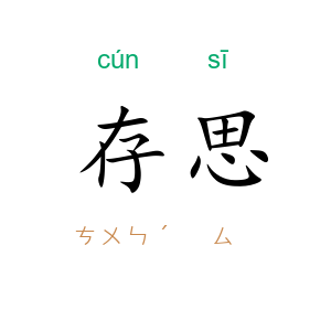 存思