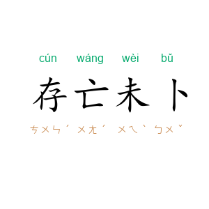 存亡未卜