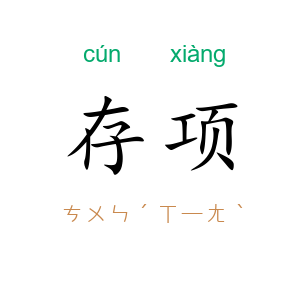 存项