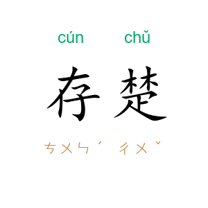 存楚
