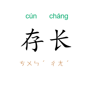 存长