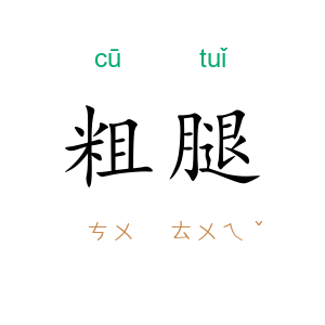 粗腿