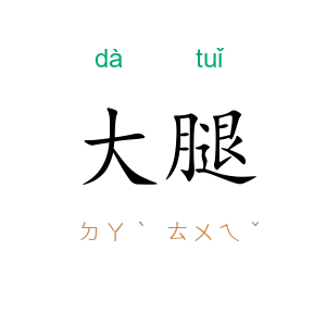 大腿