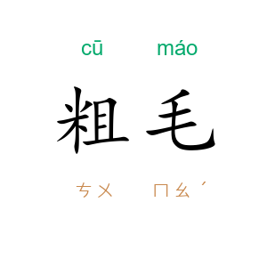 粗毛