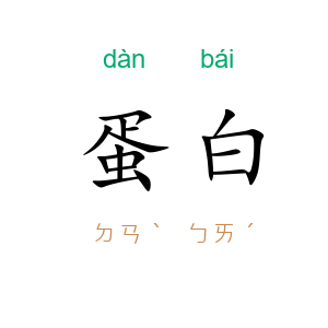 蛋白