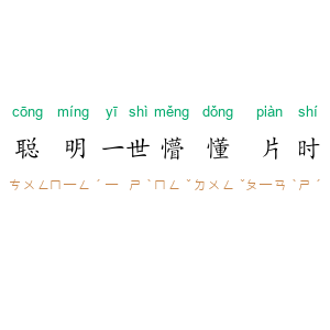 聪明一世，懵懂片时