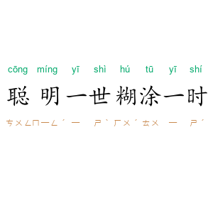 聪明一世，糊涂一时