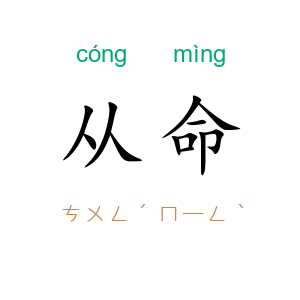 从命