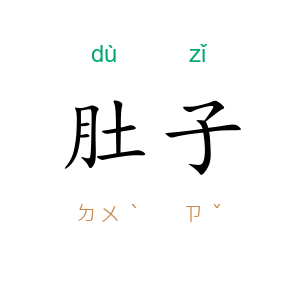 肚子
