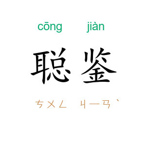 聪鉴
