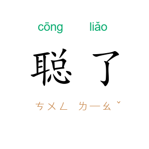 聪了