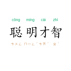 聪明才智