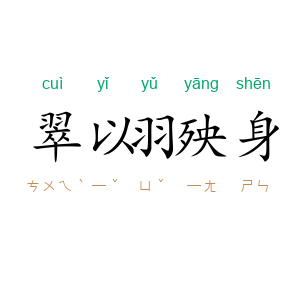 翠以羽殃身