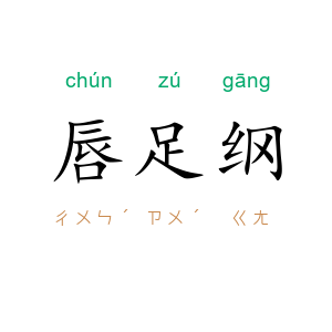 唇足纲