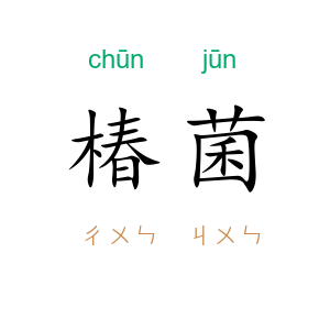 椿菌