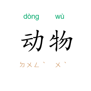 动物